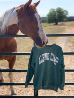 Alpine Comfort Colors Sweatshirt (Green w/white) – Alpine Camp Store